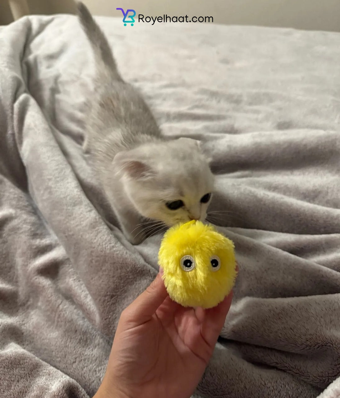 Cat Squeak Ball β Interactive Chirping Toy with Catnip