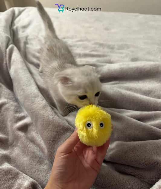 Cat Squeak Ball – Interactive Chirping Toy with Catnip